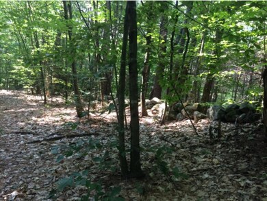 00 Ayers Rd, Canterbury, NH 03224 - photo 7