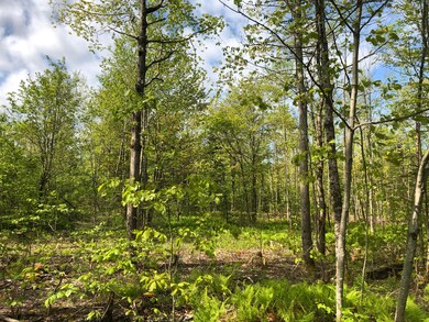 TM12 L29 Blanchard Cross Rd, Bowdoin, ME 04287 - photo 3