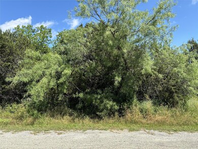 816 Devils River Dr, Granbury, TX 76048 - photo 3