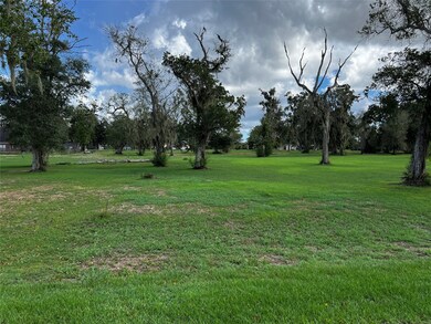0 N County Road 707 unit 35804445, Brazoria, TX 77422 - photo 7