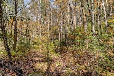 00 River Rd, Tellico Plains, TN 37385 - photo 2