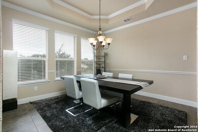 25802 Plumbago, San Antonio, TX 78261 - photo 6