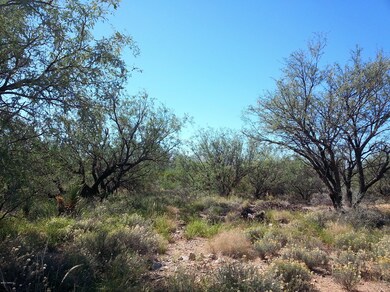 1 N Atrisco Dr unit 18, Vail, AZ 85641 - photo 2