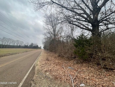 20 E L Morgan Dr, Jackson, TN 38305 - photo 6