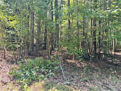 0 Hwy 29 N unit CL335575, Danielsville, GA 30633 - photo 4