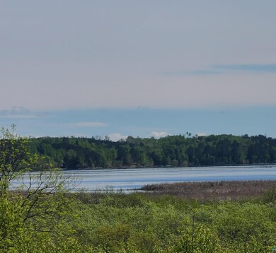 Water view featuring a heavily wooded area