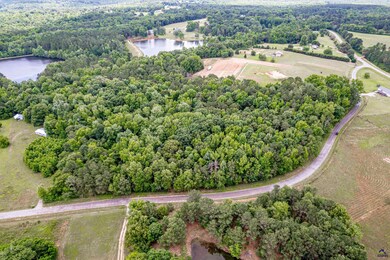 465 Smith Rd, Haddock, GA 31033 - photo 4