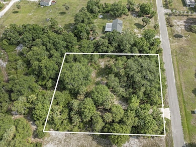 30651 NE 23rd Way, Okeechobee, FL 34972 - photo 2