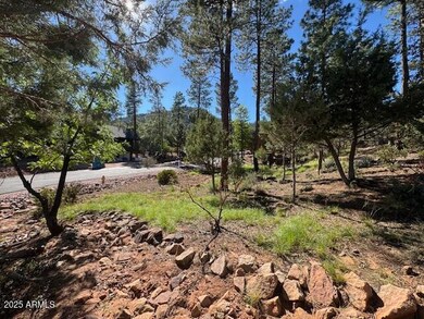 Lot 33 Sage Ct unit 33, Pine, AZ 85544 - photo 3
