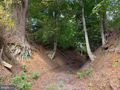 6679 Old Solomons Island Rd, Friendship, MD 20758 - photo 2