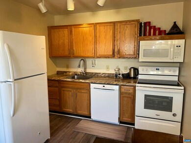 1232 Villa Ln unit E, Charlottesville, VA 22903 - photo 6