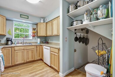 Kitchen/crawl access