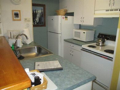 23 Black Bear Way unit 511, Waterville Valley, NH 03215 - photo 6