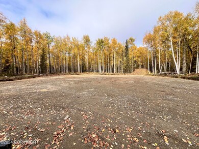 11470 Michigan St, Willow, AK 99688 - photo 7