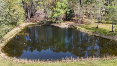 DJI_20250327110524_0019_D