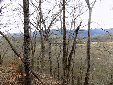 View from Bluff Rd