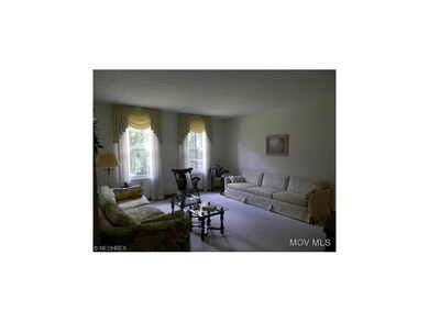 Spacious Living Room