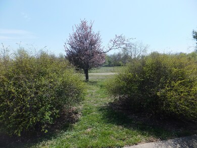DSCF8442