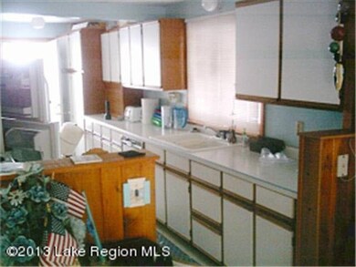 36870 Augustana Dr, Battle Lake, MN 56515 - photo 4