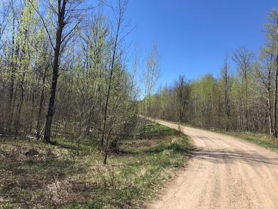 5346 Glacier Ridge Rd, Crandon, WI 54520 - photo 6