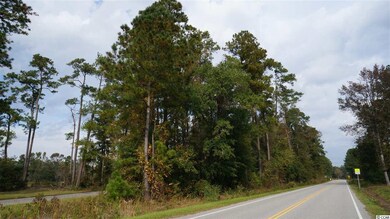 450 Boggy Rd, Conway, SC 29526 - photo 7