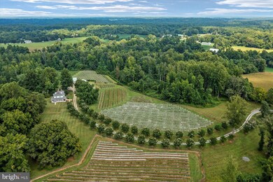 195 Harwood Rd, Harwood, MD 20776 - photo 5