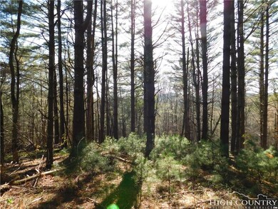 Tract L-12 Panorama Dr, Todd, NC 28684 - photo 2