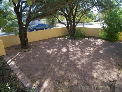 Front yard- late afternoon