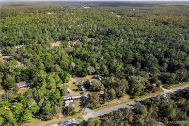 16362 Cherokee Rd, Brooksville, FL 34601 - photo 6