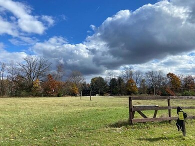 IMG_6029 (1)
