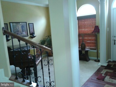 42242 Oasis Ct, Chantilly, VA 20152 - photo 5