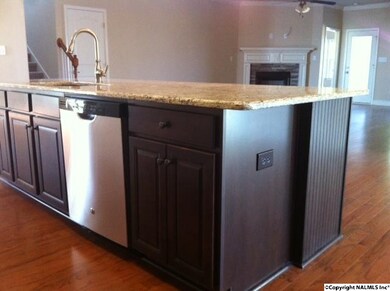 Stainless Steel Appliances, Brushed Nickel Pull Down Faucet
