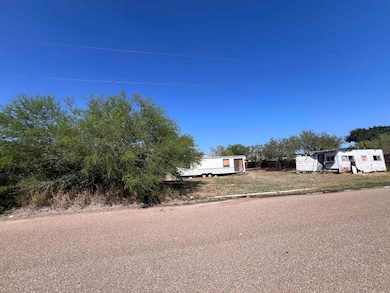 615 Railroad Ave, Benavides, TX 78341 - photo 7