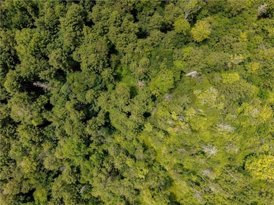 0 Sheff Rd, New Berlin, NY 13843 - photo 5