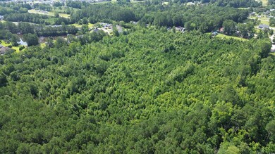 View of property location with a heavily wooded area