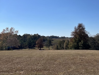 119 Weeping Willow Trail, Headland, AL 36345 - photo 3