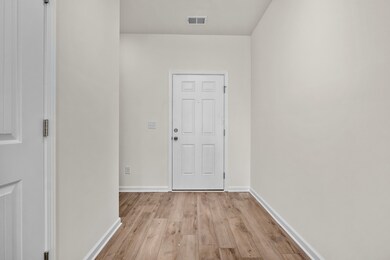 123 Annas Way, Shelbyville, TN 37160 - photo 4