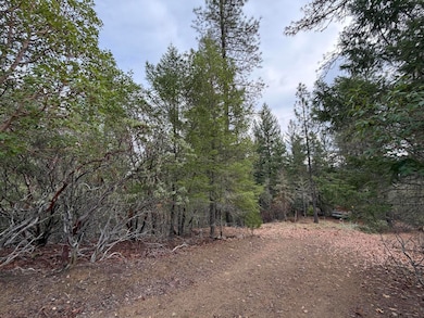 0 E Evans Creek Rd unit 10149540, White City, OR 97503 - photo 6