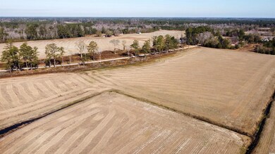 TBD Shelley Ln, Nichols, SC 29581 - photo 3