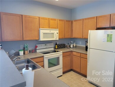 538 Appeldoorn Cir unit 538, Asheville, NC 28803 - photo 3