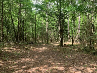 2190 Ernest A Thompson Rd, Ruth, MS 39662 - photo 3