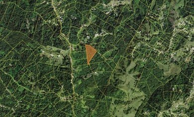 0 unit LOT 21, Juncos, PR 00777 - photo 2