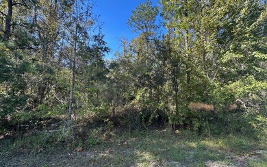 0 SW Bozeman Ct unit 129011, Lake City, FL 32024 - photo 5