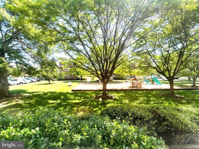 6613 Potomac Ave unit A1, Alexandria, VA 22307 - photo 2