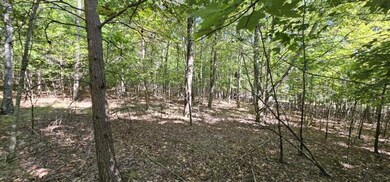 Lot 327 Two Lake Trail, Dunlap, TN 37327 - photo 6