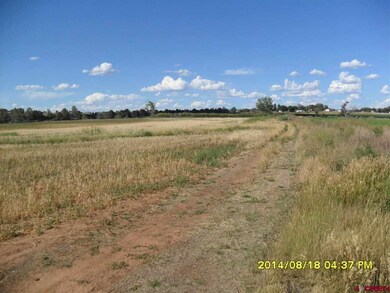21.4 Road, Cortez, CO 81321 - photo 4
