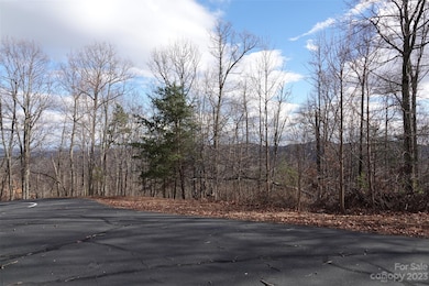 79 Longview Trail, Bostic, NC 28018 - photo 6