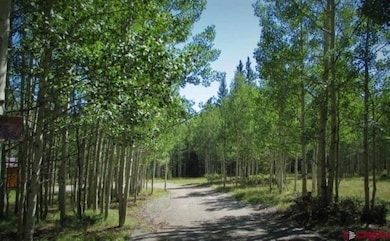 200 Hazel Lake Dr, Cimarron, CO 81220 - photo 4