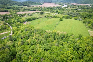 38 S South Vanderkarr Rd S unit na, Tioga, NY 13734 - photo 3