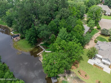 1025 Monet Cove, Brandon, MS 39047 - photo 4